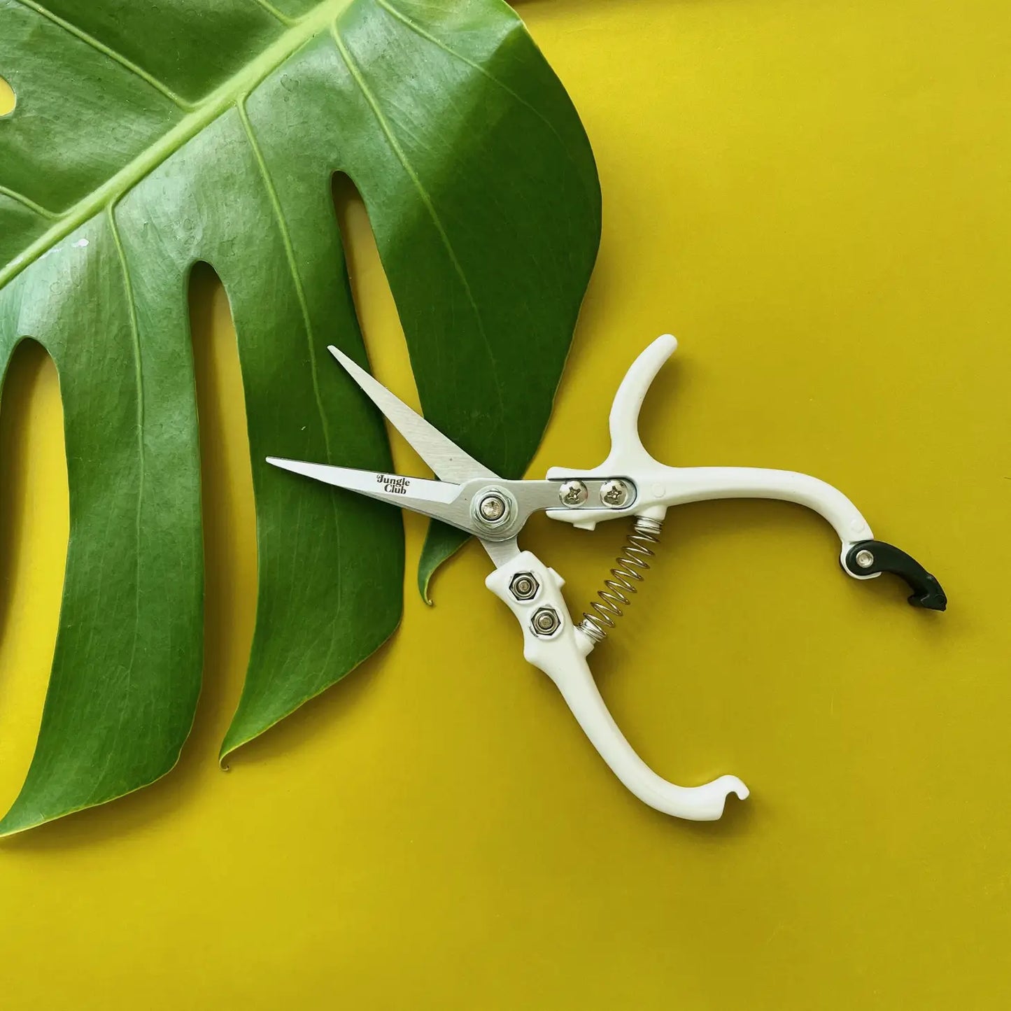 White Pruning Shears