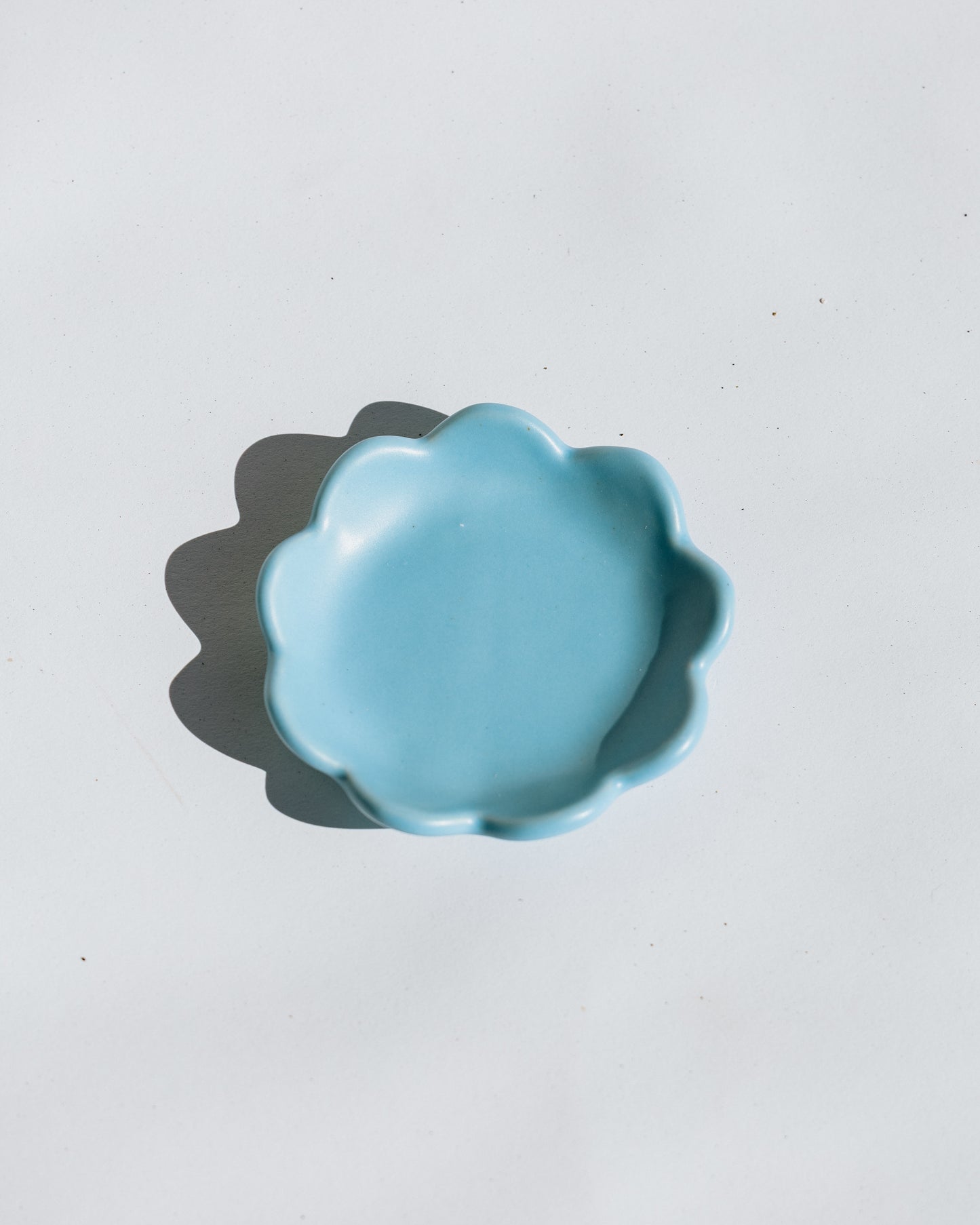 Blue Skies Dish