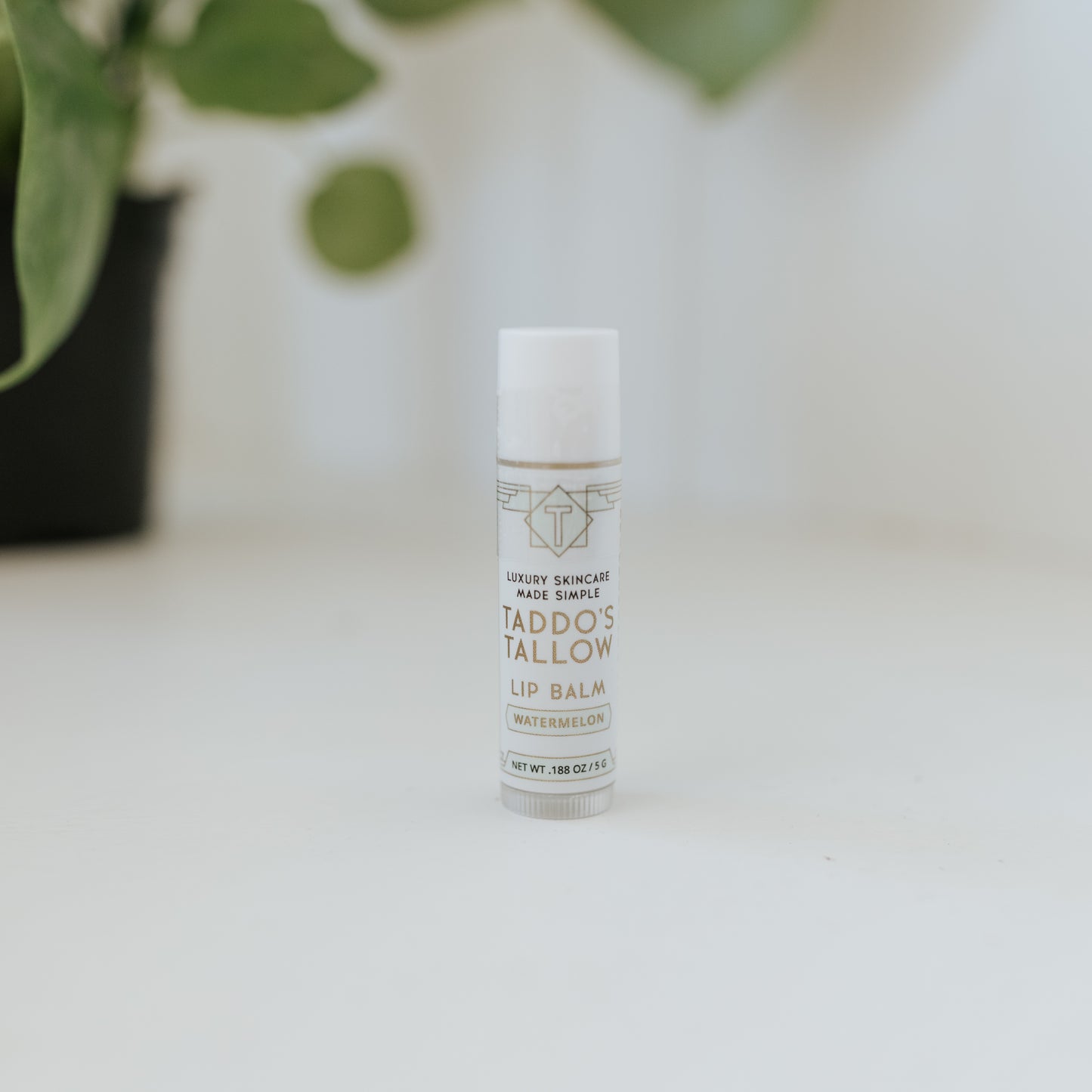 Tallow Lip Balm