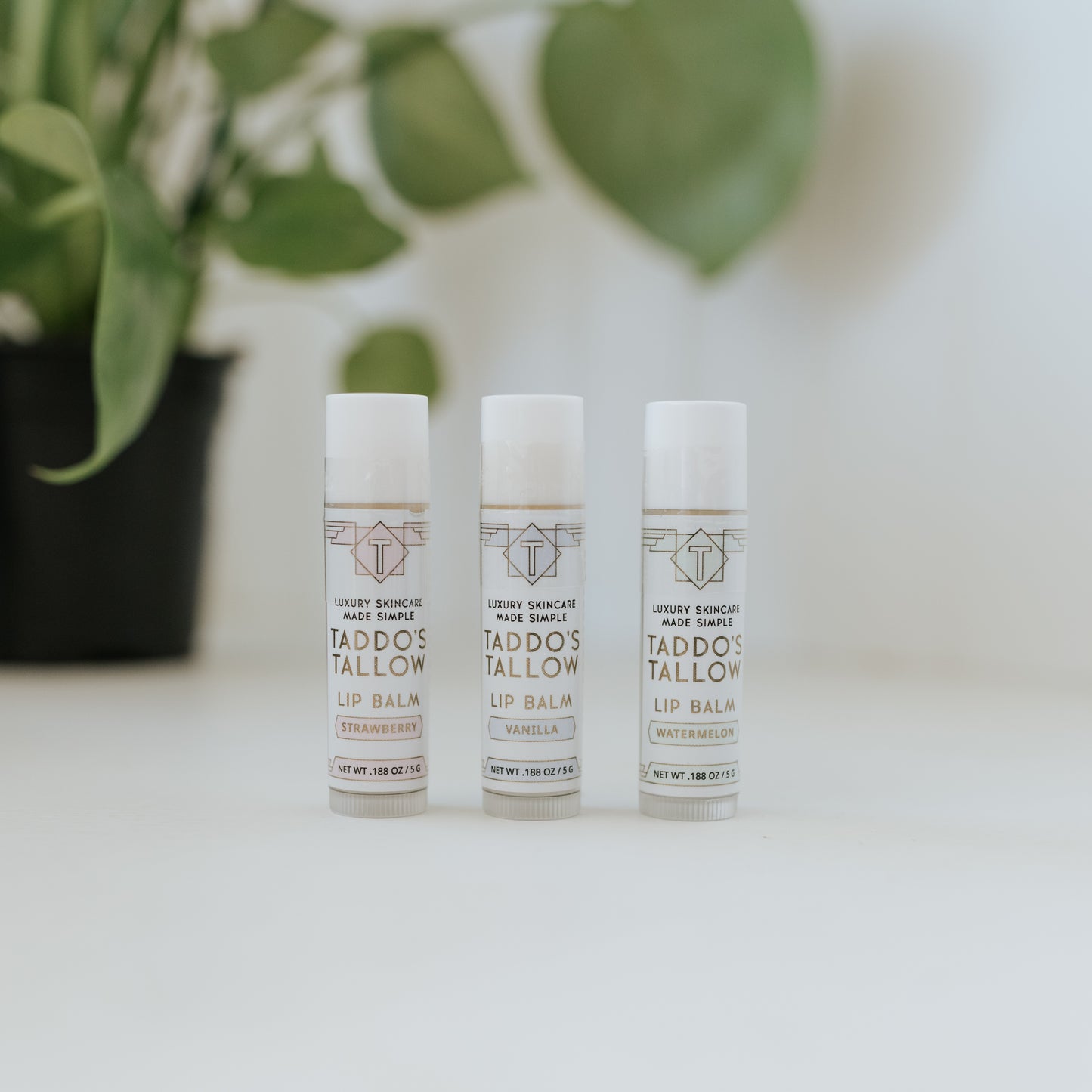 Tallow Lip Balm