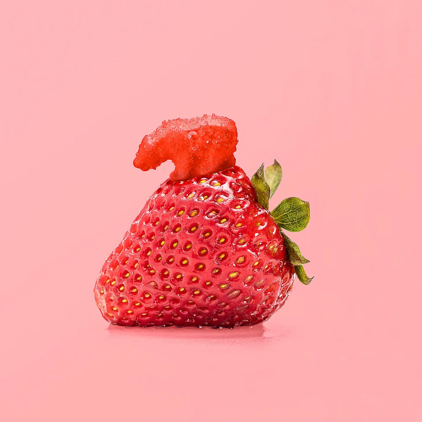 Gummy Bears ~ Sour Strawberry