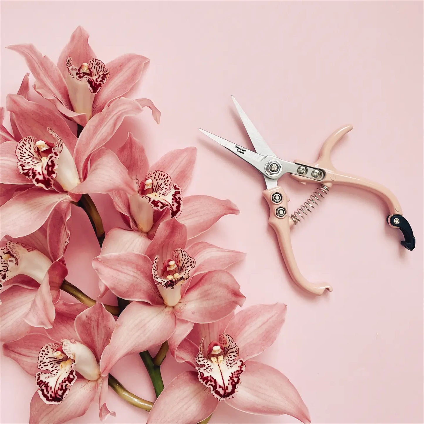 Pink Pruning Shears