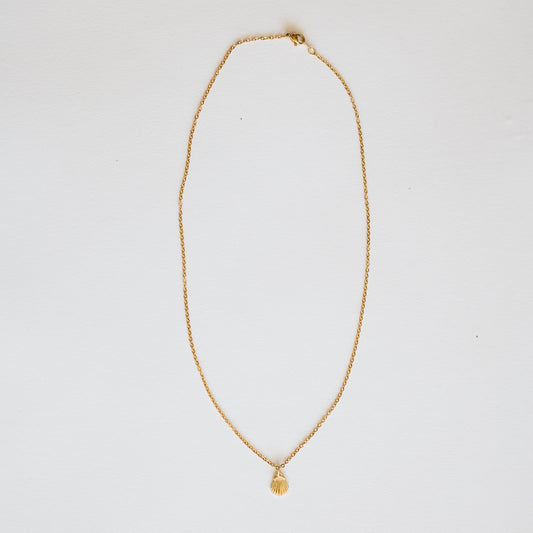 Sea Shell Necklace