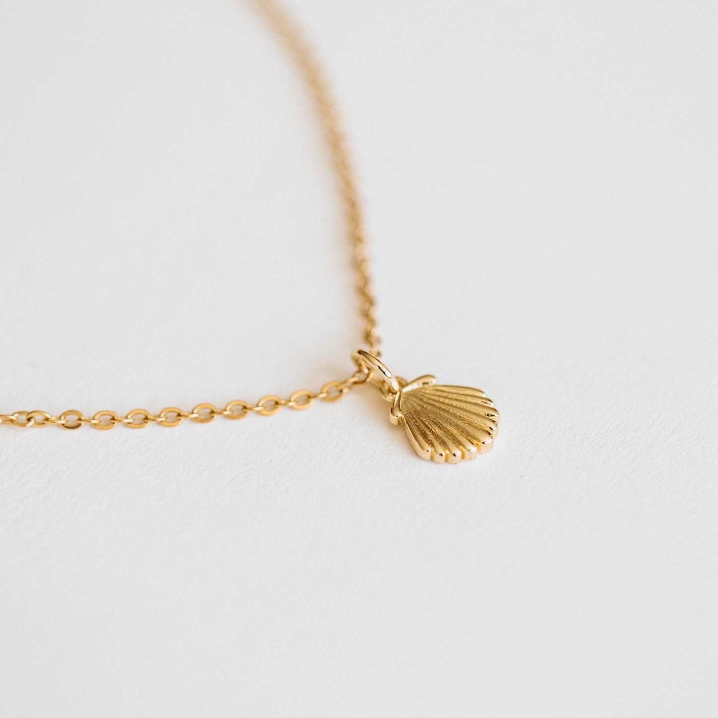 Sea Shell Necklace