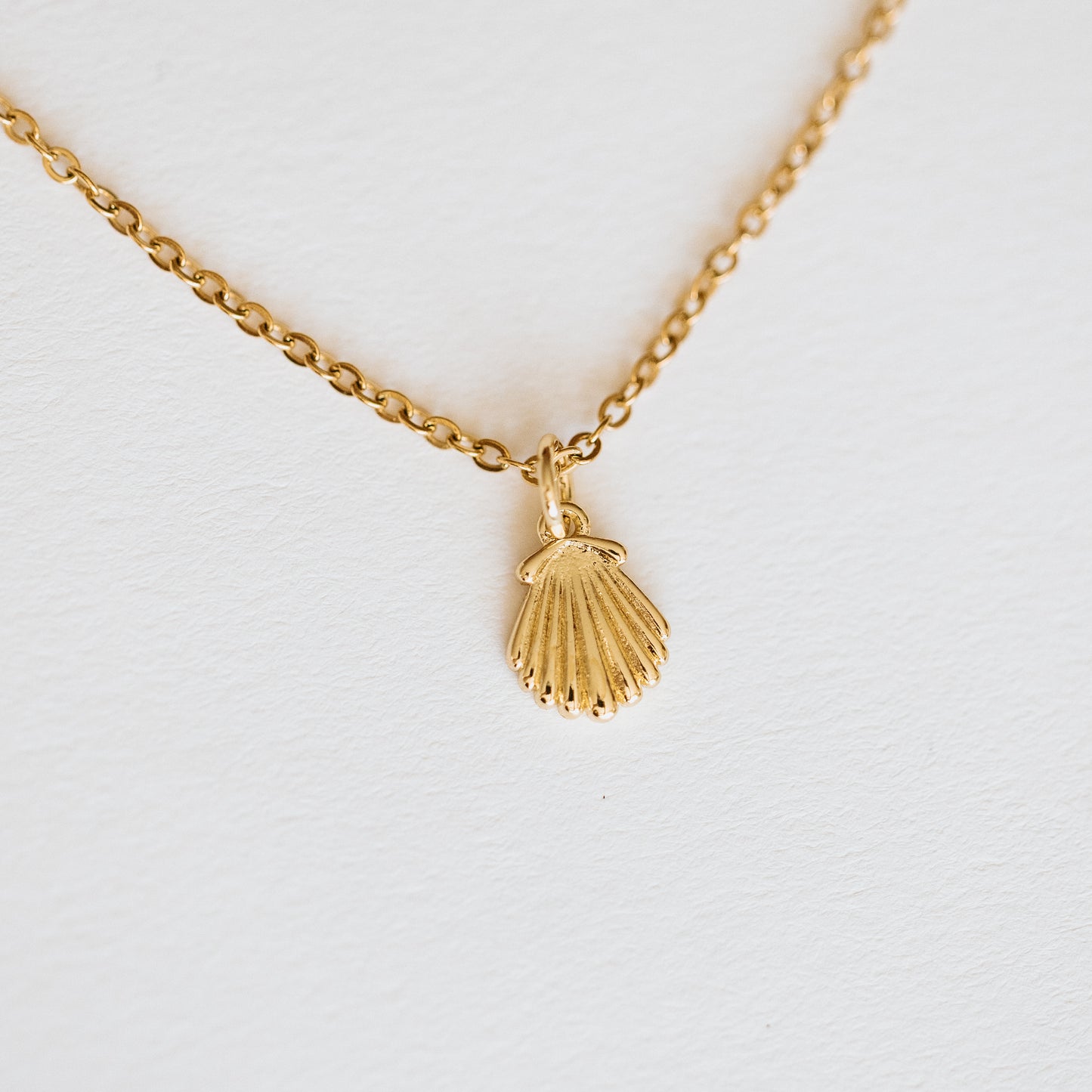Sea Shell Necklace