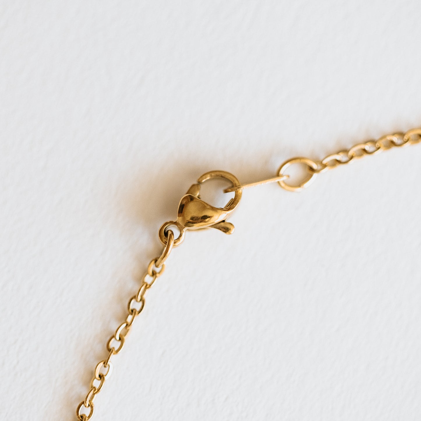 Sea Shell Necklace