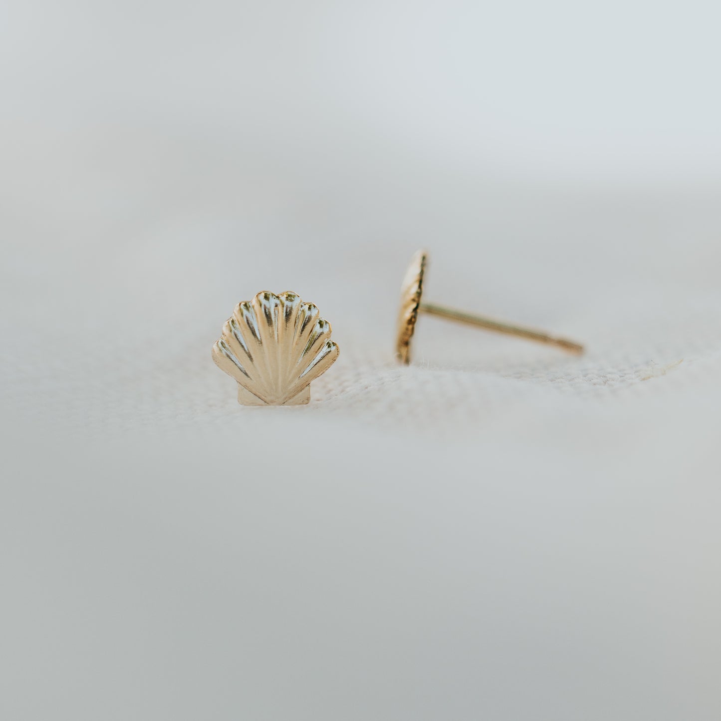 Sea Shell Earrings ~ Gold Filled