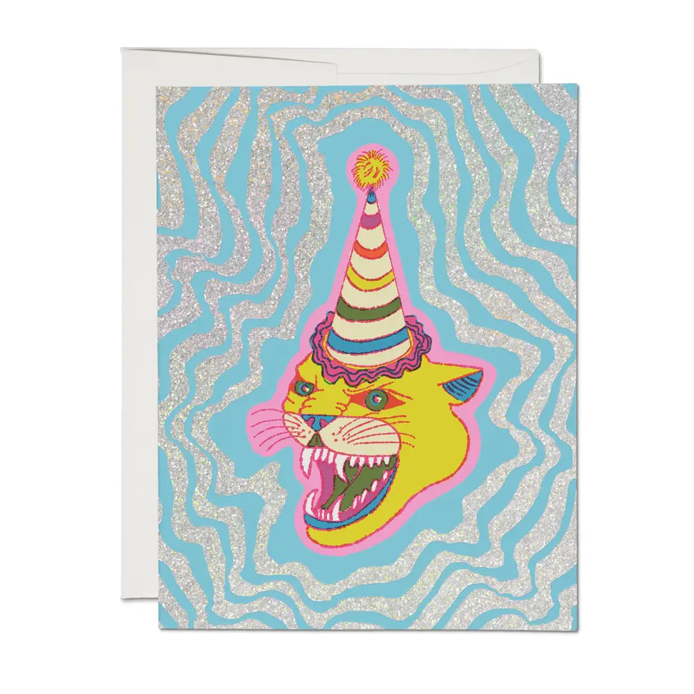 Party Hat Cat