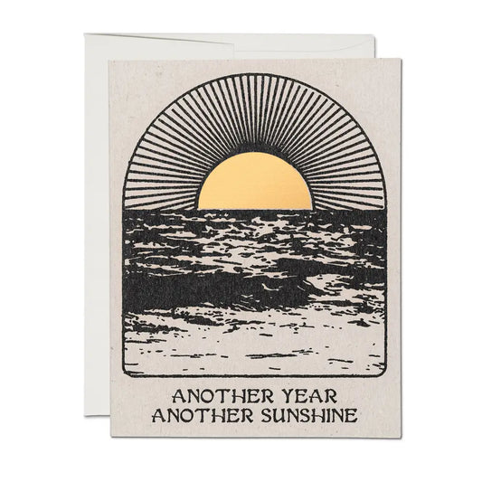 Another Year Another Sunshine