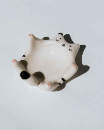 Kitty Dish