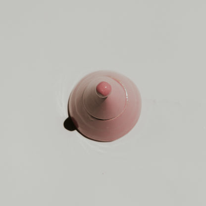 Trove in Blush
