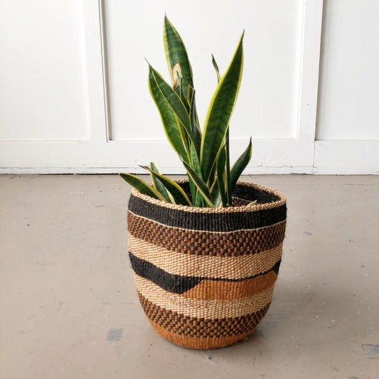 Plant Basket ~ Earth