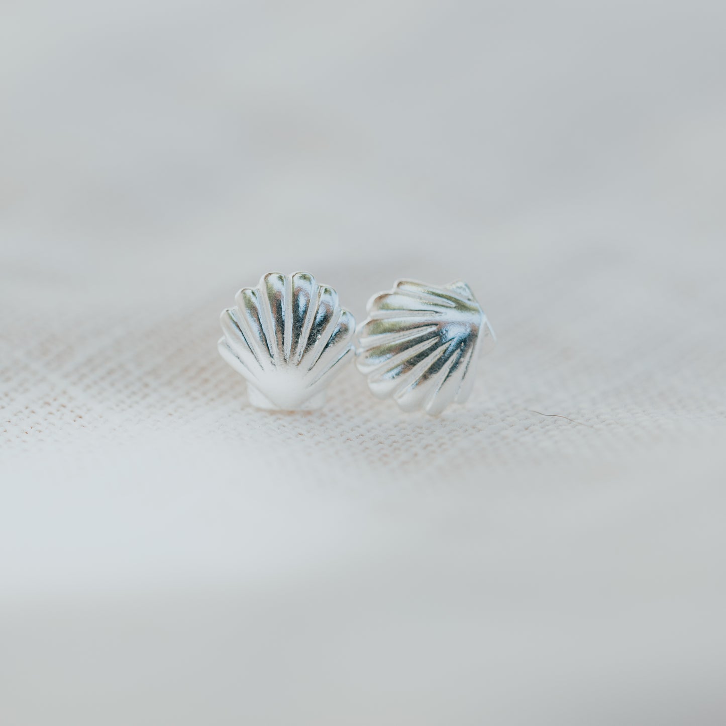 Sea Shell Earrings ~ Silver